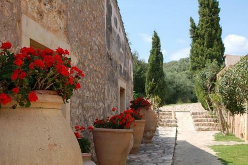 Agroturismo Finca Es Mayolet