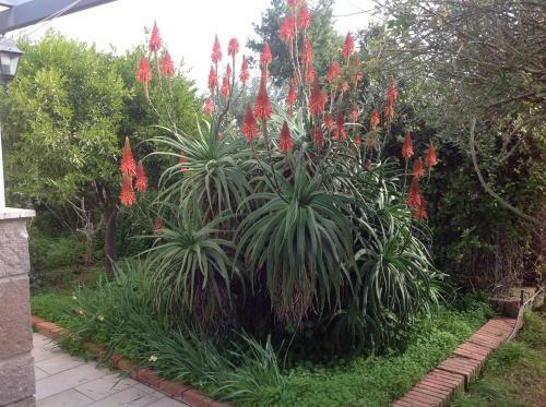 Apartamento Trilocale Margine Rosso