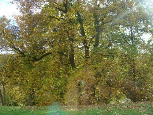 Bed & Breakfast Chambre D'h�tes Les Champarts
