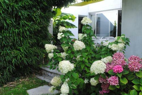 Bed & Breakfast Chambres D'h�tes La Tribu