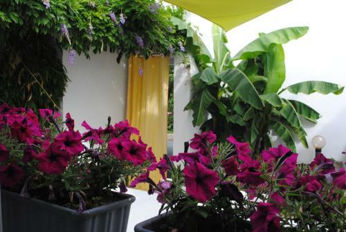 Bed & Breakfast Chambres D'h�tes La Tribu