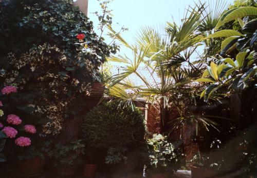 Apartamento B&B Gheller