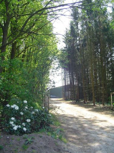 Agroturismo Triple Star Guest Ranch