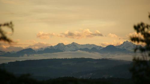 Agroturismo Treffhof
