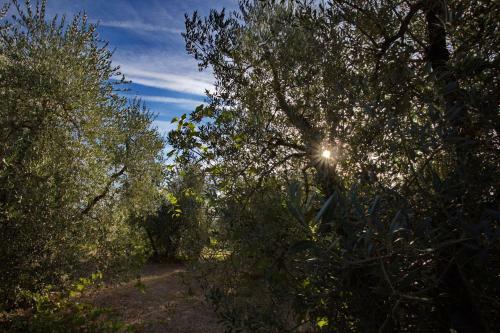 Agroturismo Tenuta Lupinari