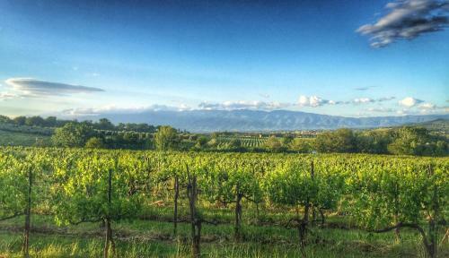 Agroturismo Tenuta Lupinari