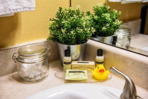 Hotel Georgetown Inn Seattle