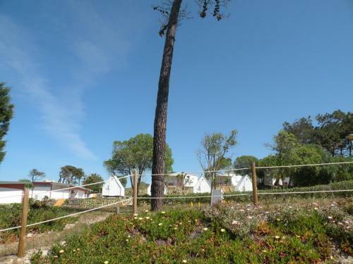 Parque De Campismo Da Praia De Pedrogao