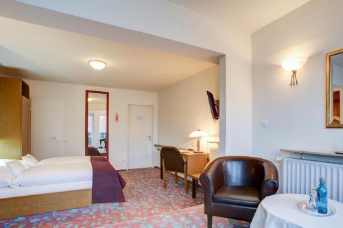 Hotel Consul