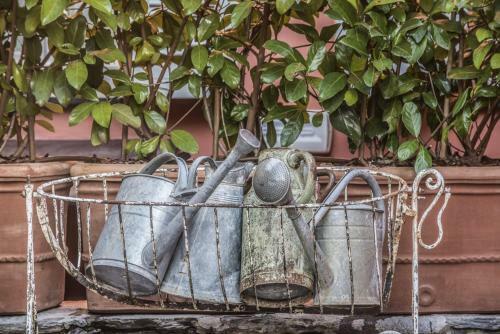 Bed & Breakfast Relais Del Maro