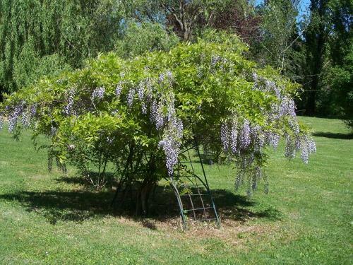 Bed & Breakfast Chambre D'h�tes La Demeure D'architecte