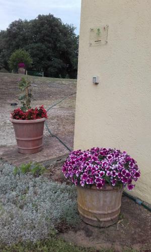 Hostal Poggio Dell'olivo