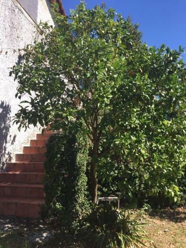 Apartamento Ghirindoun