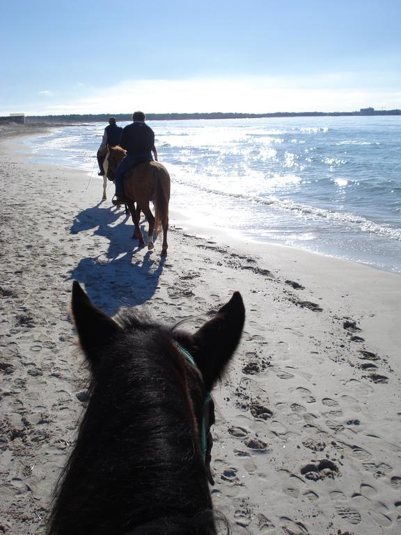Agroturismo Son Menut
