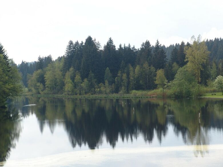 Hotel Waldsee