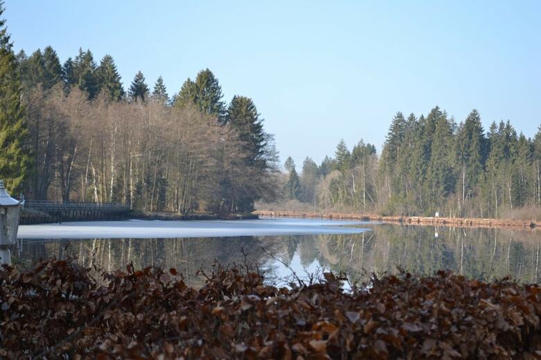 Hotel Waldsee