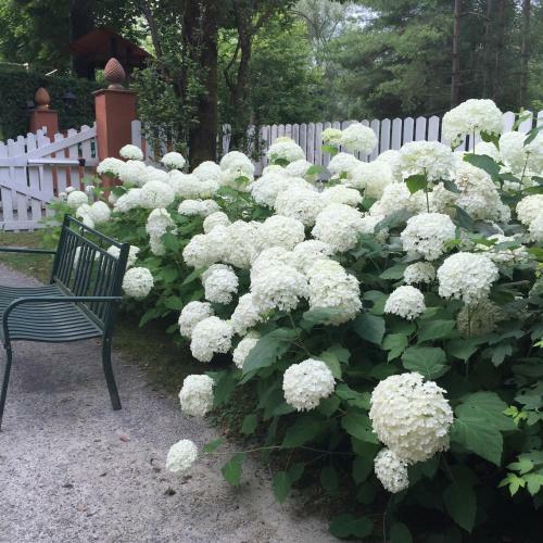 Agroturismo B&B Il Quadrifoglio