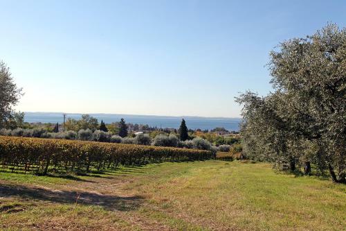 Apartamento Appartamenti Vignol 2