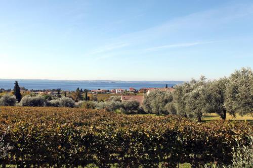 Apartamento Appartamenti Vignol 2