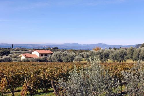 Apartamento Appartamenti Vignol 2
