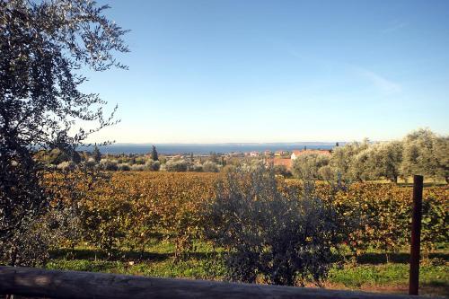 Apartamento Appartamenti Vignol 2