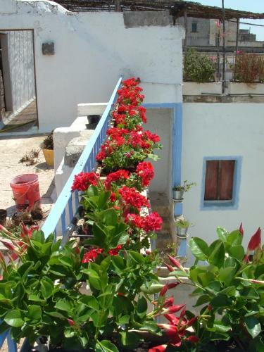 Hotel B&B Palazzo Briganti