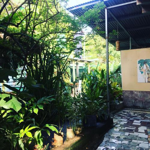 Albergue Caribbean Flavors Backpackers
