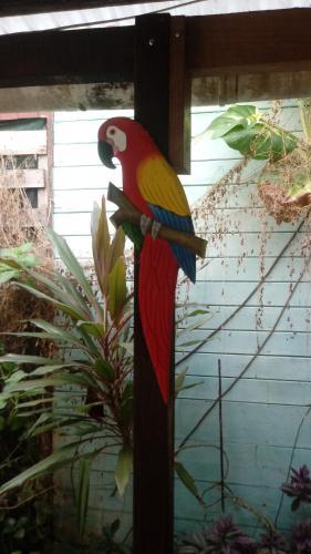 Albergue Caribbean Flavors Backpackers