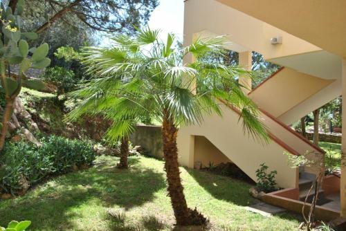 Apartamento Sa Jaga Brujada Residence