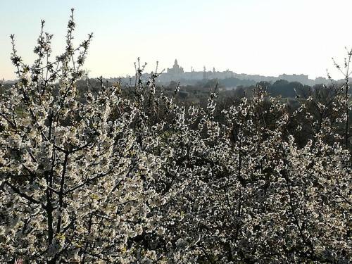 B&B Masseria Nardelli