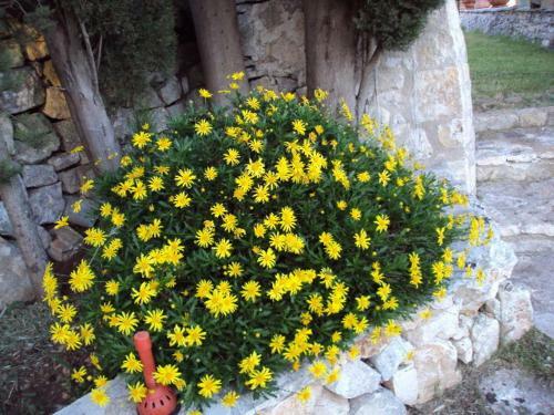 B&B Masseria Nardelli