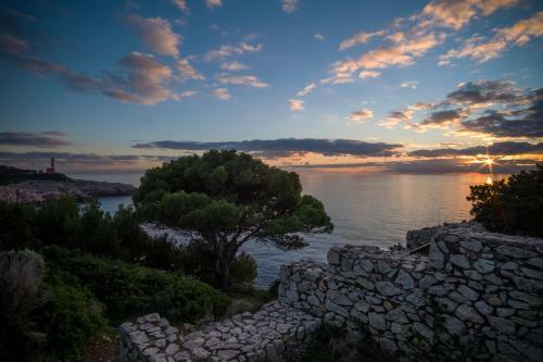 Hostal Fortino B&B Capri