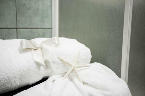 B&B Terra Nobile