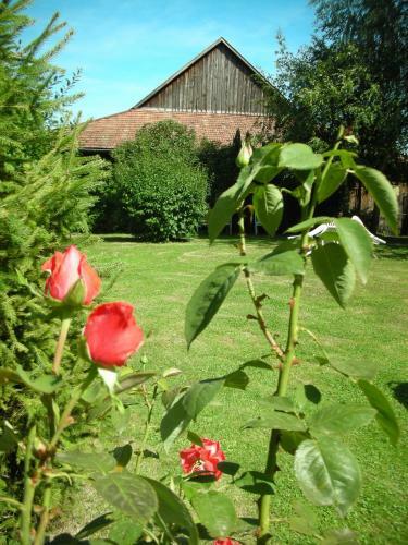 Bed & Breakfast L'h�te Antique