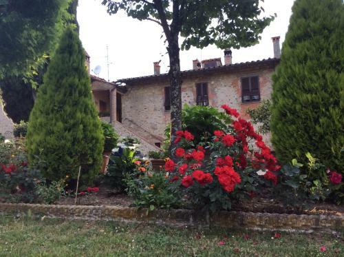 Agroturismo Podere Buriano