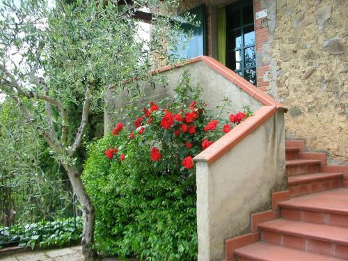 Agroturismo Casale Oliveta