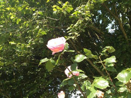 Bed & Breakfast Greenfield Chambres D'h�tes