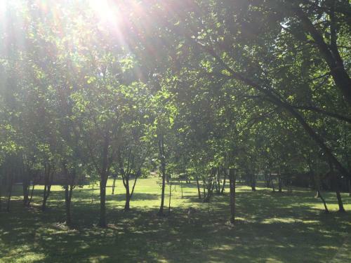 Bed & Breakfast Greenfield Chambres D'h�tes