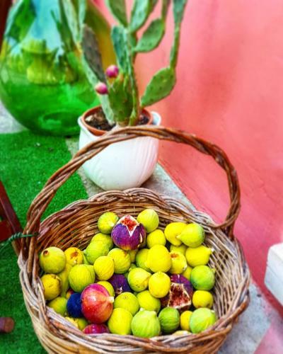 Bed & Breakfast Villa Maggiulli Alfieri - Dimora Storica