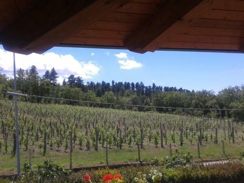 Agroturismo U' Cecere Agriturismo