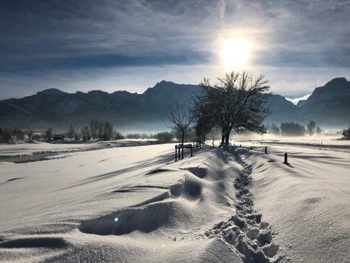 Hostal Gasthof Seeklause