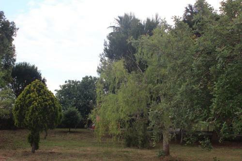 Villa Messapia - Santa Maria Di Leuca