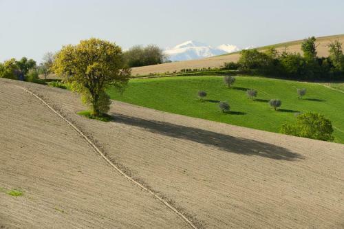 Agroturismo Relais Il Margarito