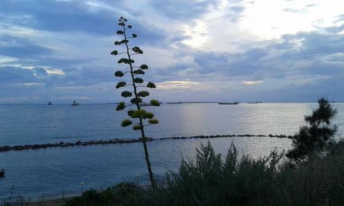 Bed & Breakfast Al Chiaro Di Luna