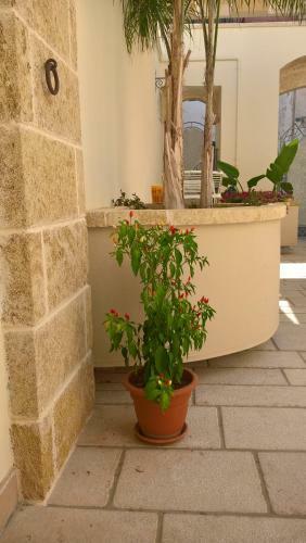 Hostal Gradi�