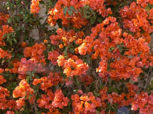 Bed & Breakfast Les Terrasses De L'atlas
