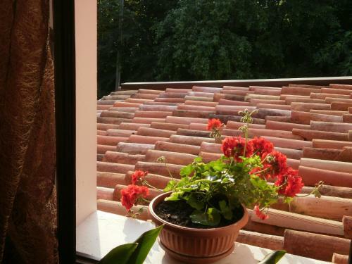 Agroturismo B&B Al Samaron