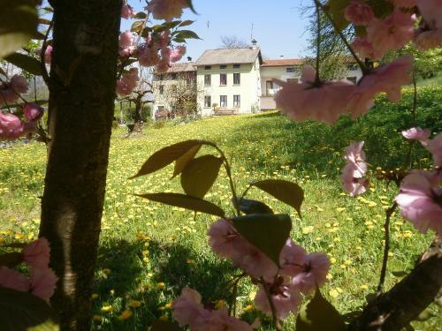 Agroturismo B&B Al Samaron