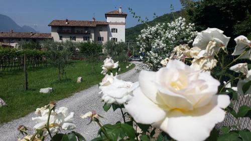 Apartamento Residence La Colombera