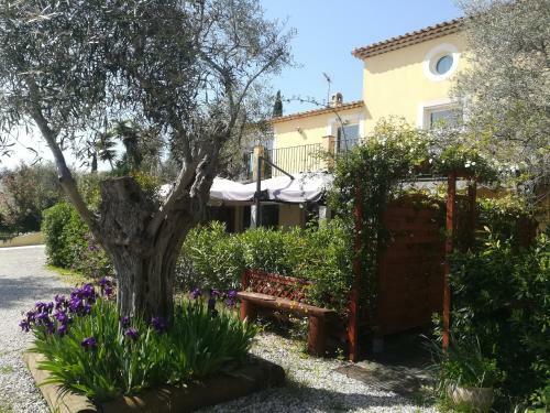 Bed & Breakfast Chambres D'h�tes "bastide De La Brague"